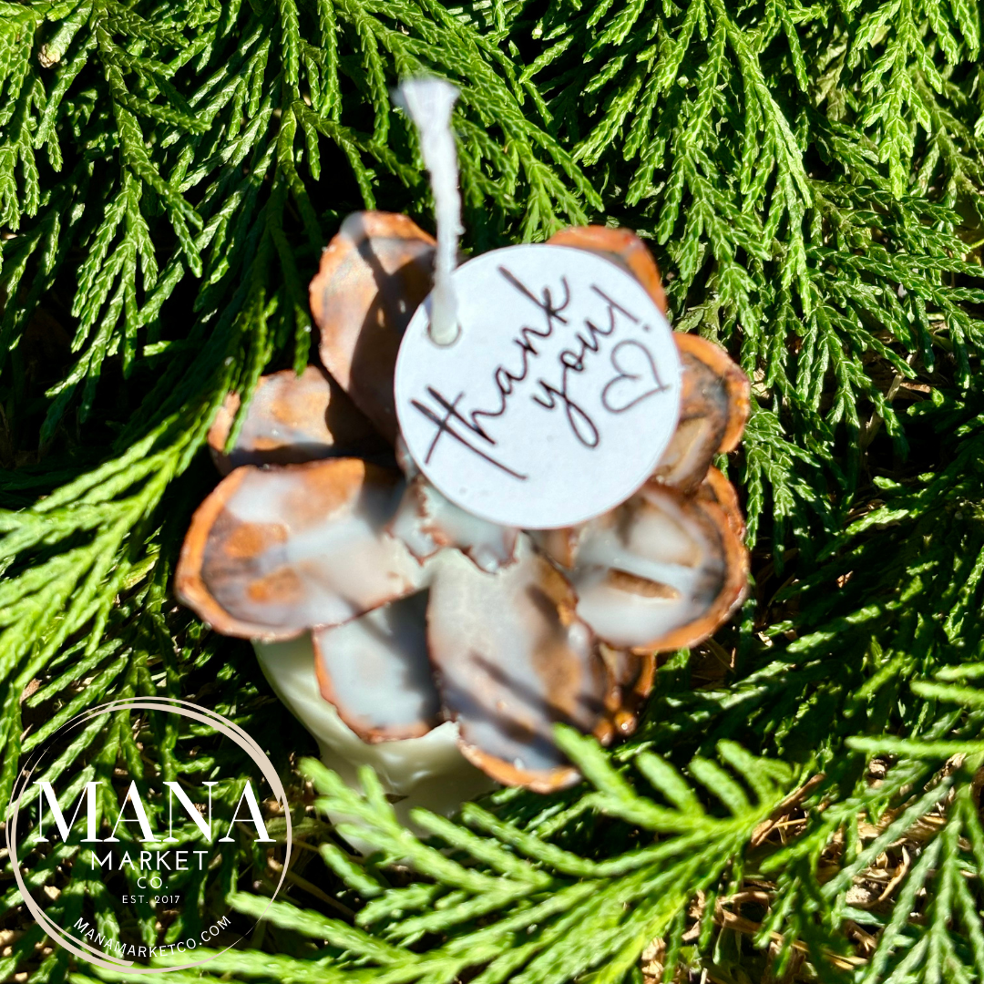 Pine Cone Favors Fire Starters ~ The Perfect Rustic Party Favor