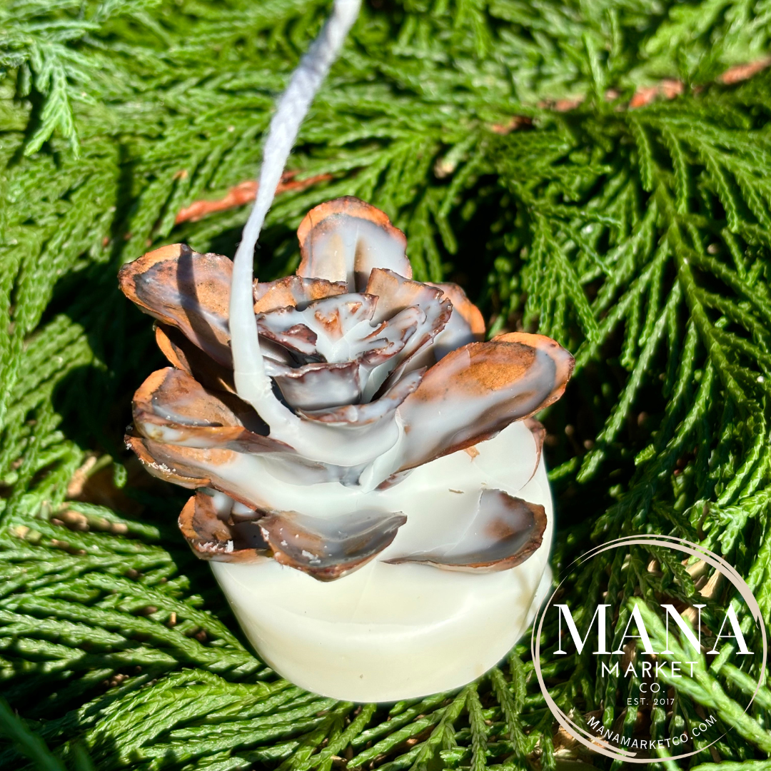 Pine Cone Favors Fire Starters ~ The Perfect Rustic Party Favor