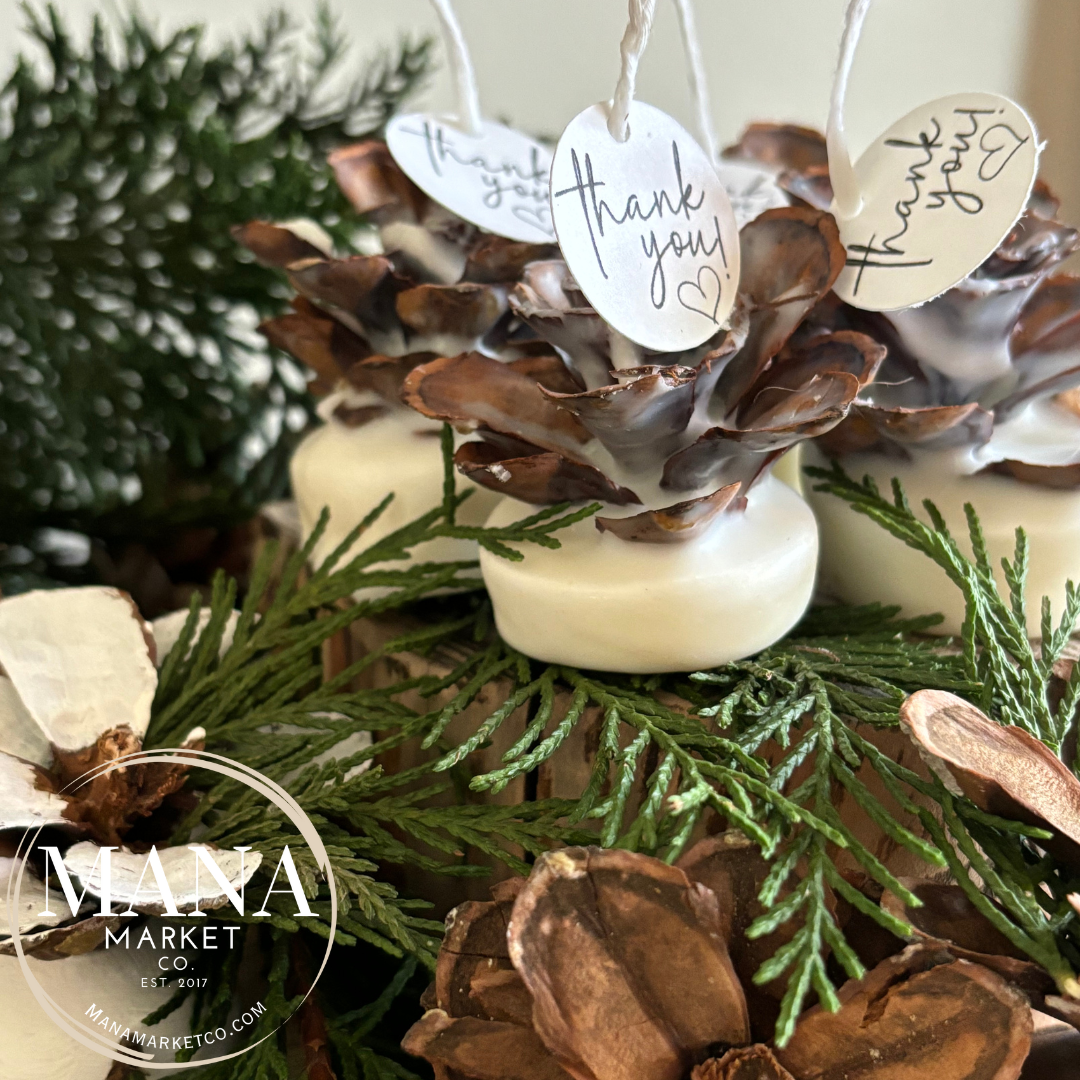Pine Cone Favors Fire Starters ~ The Perfect Rustic Party Favor
