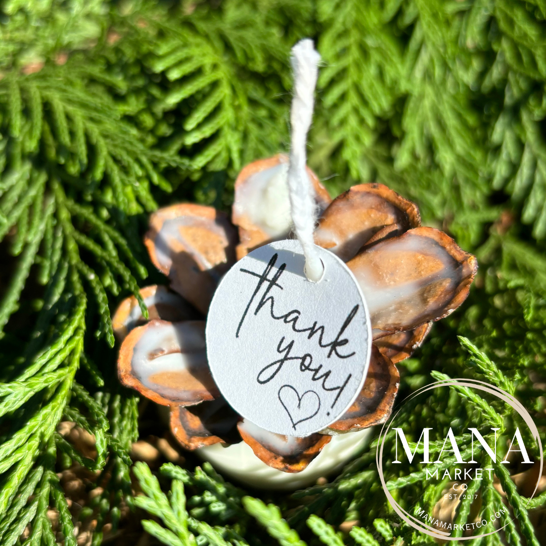 Pine Cone Favors Fire Starters ~ The Perfect Rustic Party Favor
