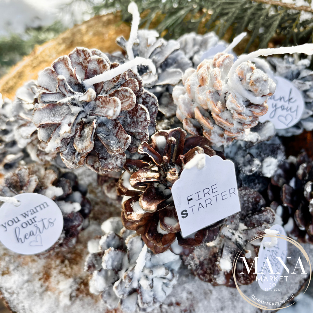 Pine Cone Fire Starter Favors & Gifts