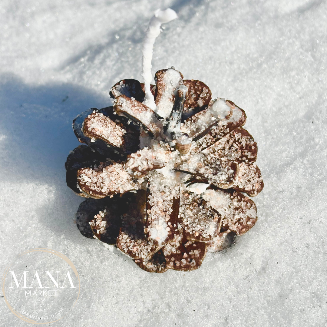 Pine Cone Fire Starter Favors & Gifts