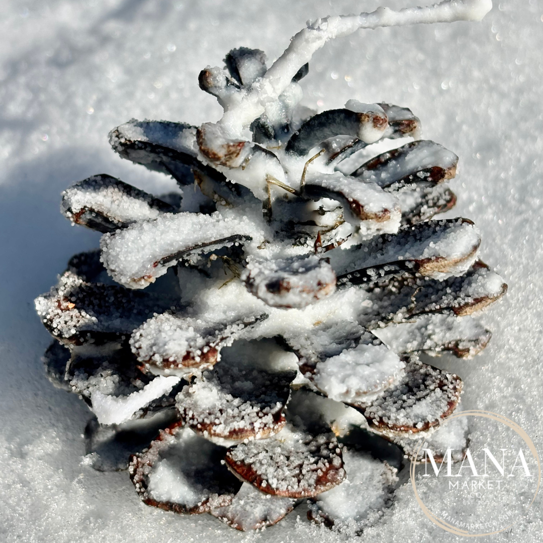 Pine Cone Fire Starter Favors & Gifts
