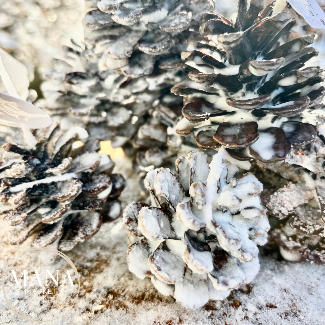 Pine Cone Fire Starter Favors & Gifts