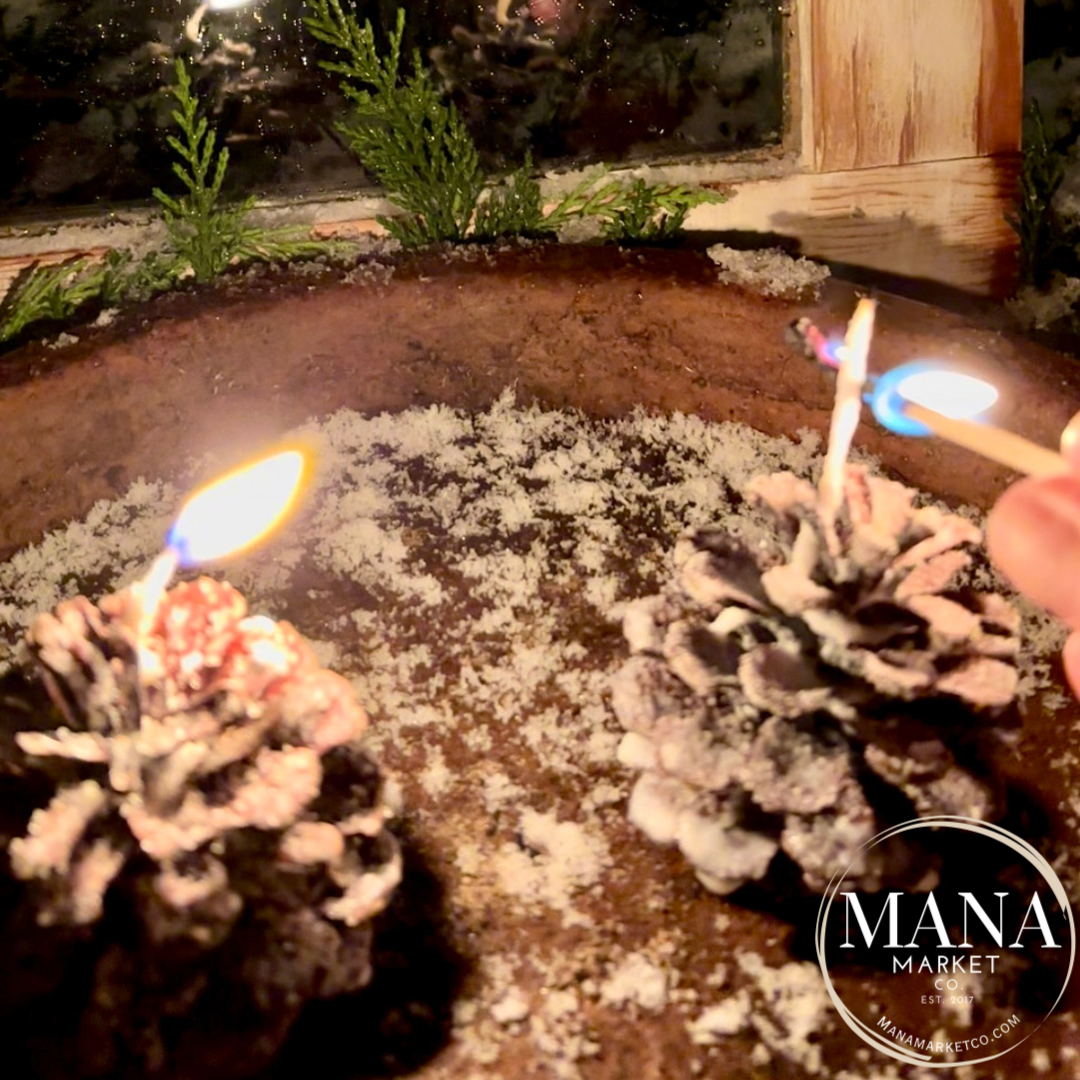 Pine Cone Fire Starter Favors & Gifts