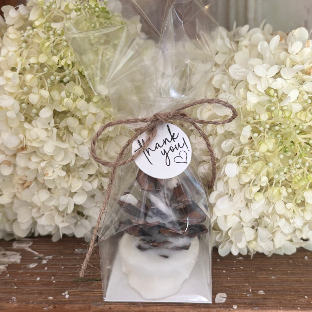 Pine Cone Favors Fire Starters ~ The Perfect Rustic Party Favor