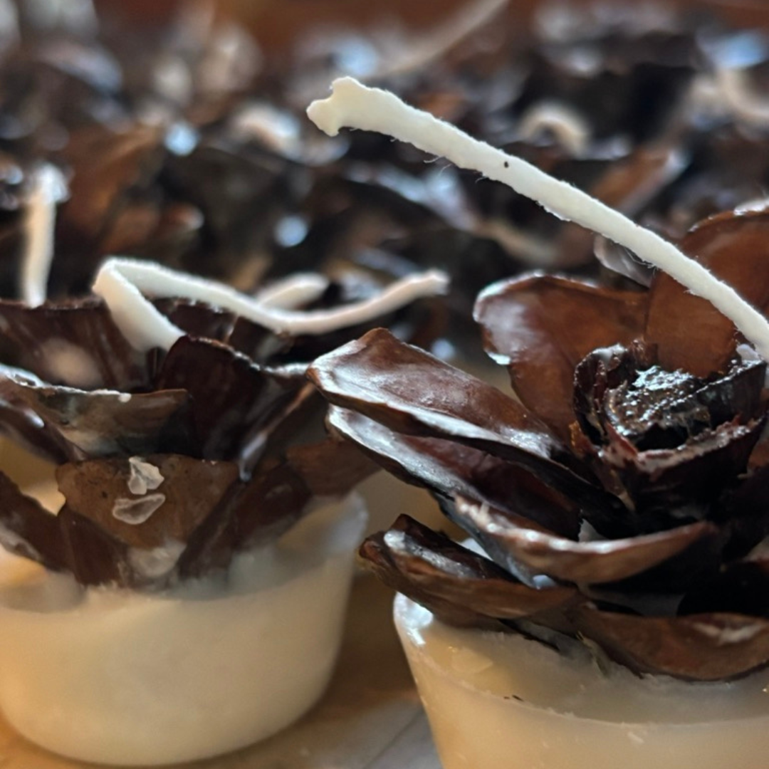 Pine cones with white candles on top in a blurred background