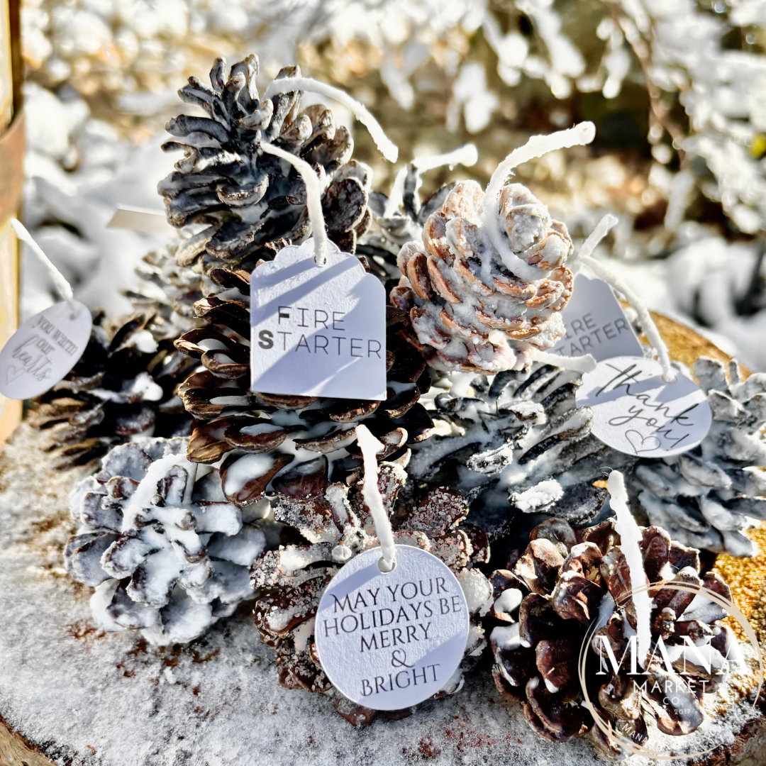 Pine Cone Fire Starter Favors & Gifts