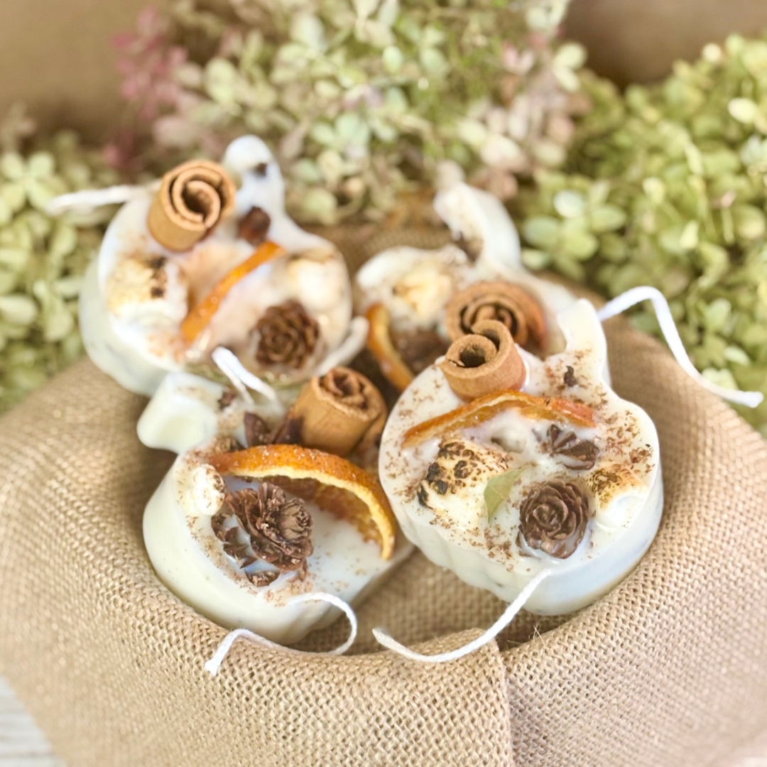 Fire Starter Favors for Fall Rustic Wedding and Thanksgiving Halloween Gifts