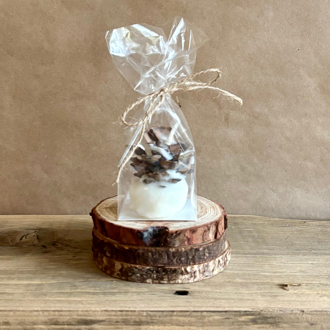 Pine Cone Favors Fire Starters ~ The Perfect Rustic Party Favor