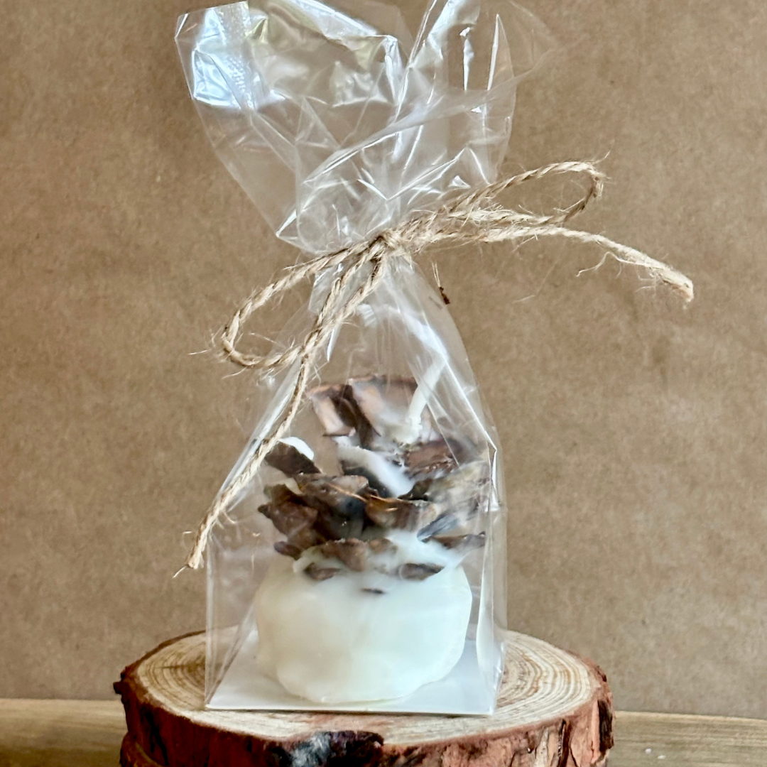 Pine Cone Favors Fire Starters ~ The Perfect Rustic Party Favor