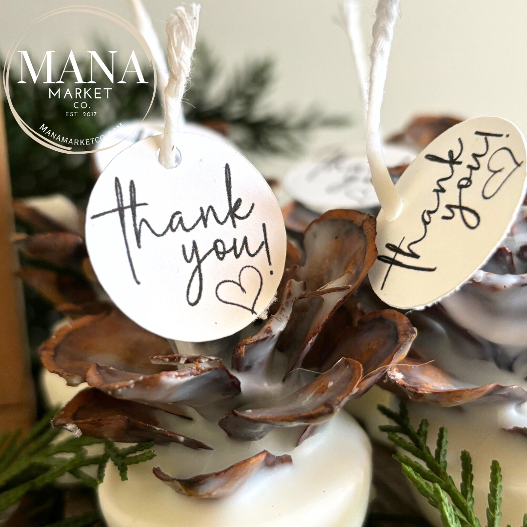 Pine Cone Favors Fire Starters ~ The Perfect Rustic Party Favor