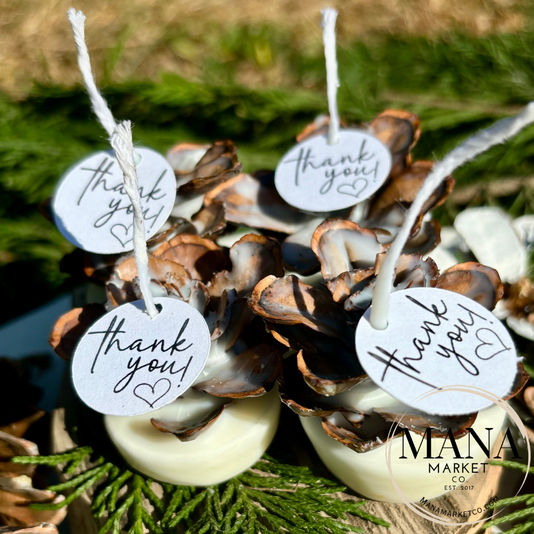 Pine Cone Favors Fire Starters ~ The Perfect Rustic Party Favor