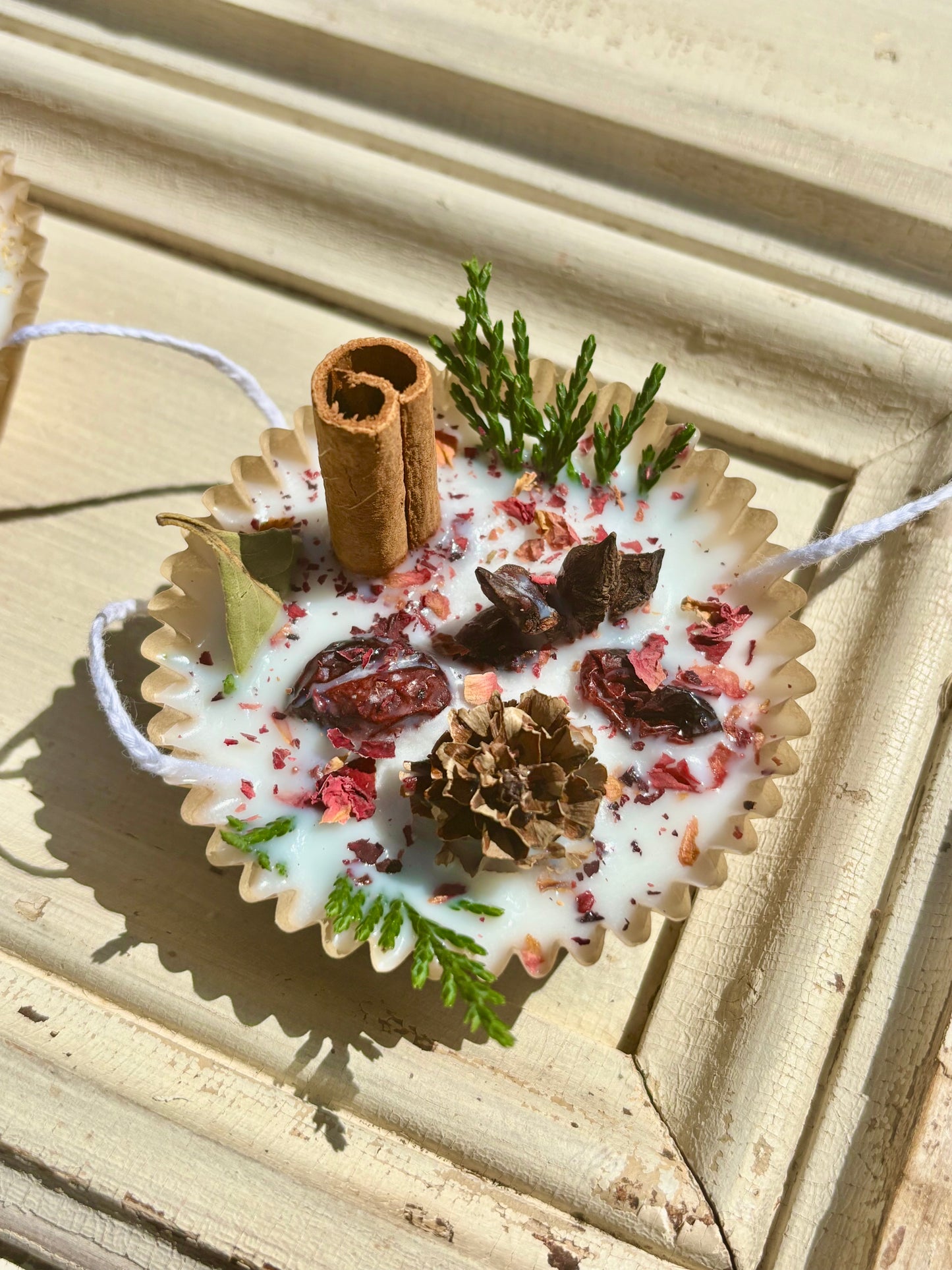 Natural Fire Starters Beautiful Gift or Favor