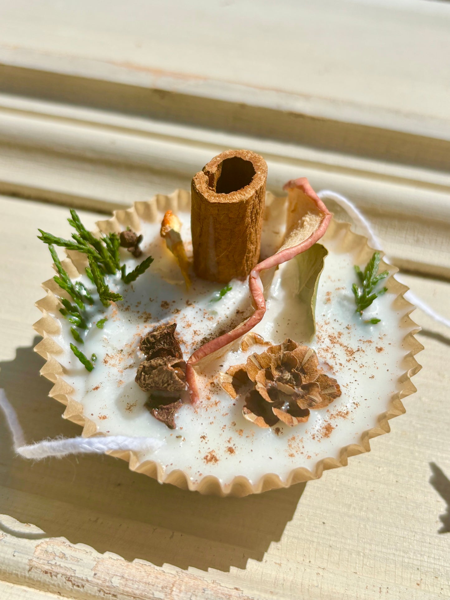 Natural Fire Starters Beautiful Gift or Favor
