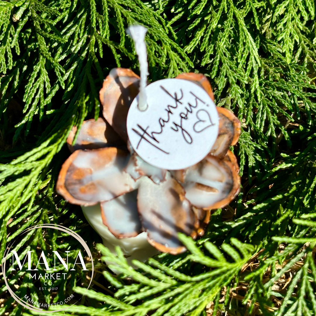 Pinecone Favors Fire Starters