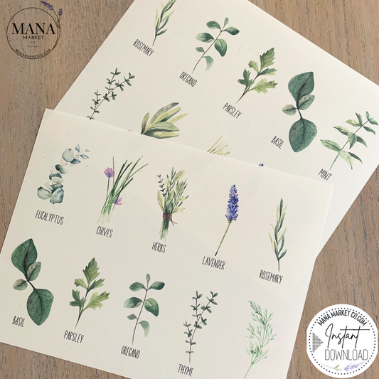 Printable Herb Labels , Set of Rustic Plant Seed Tags and Label Printables for Gardening