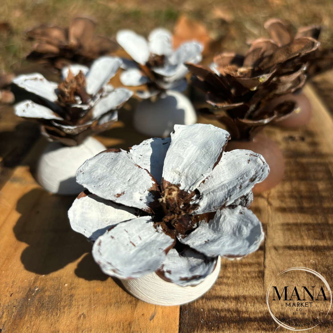 Rustic Wood Pinecone Place Card Holder for Weddings and Holiday Place Card Settings