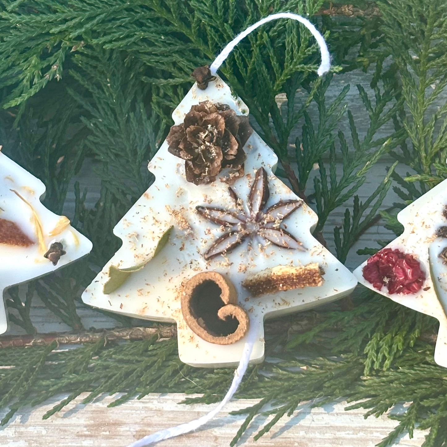 christmas tree money wax melt Pine Tree Fire Starter Scented Sachet & Wax Melt Plain / Cypress & Bayberry
