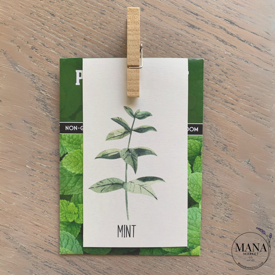 Printable Herb Labels , Set of Rustic Plant Seed Tags and Label Printables for Gardening