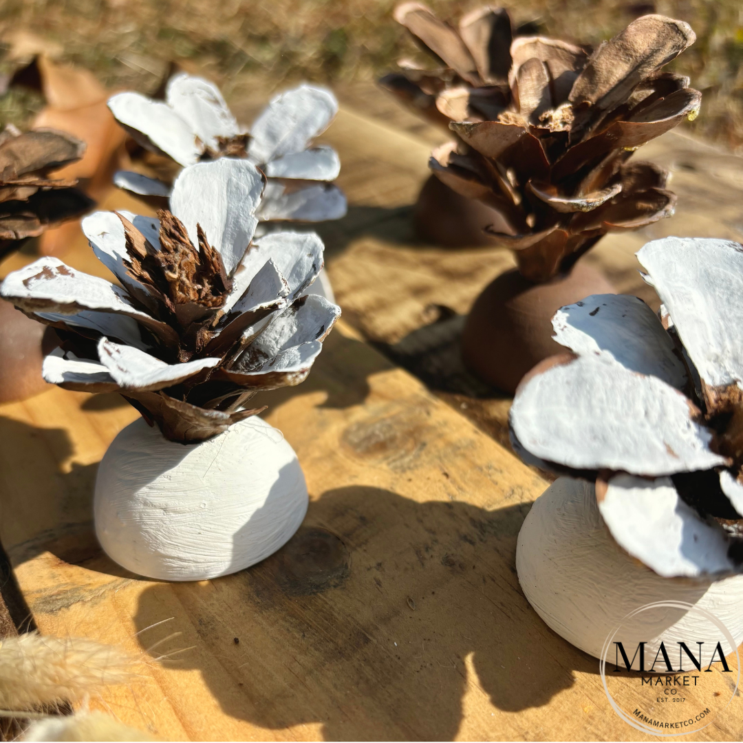 Rustic Wood Pinecone Place Card Holder for Weddings and Holiday Place Card Settings