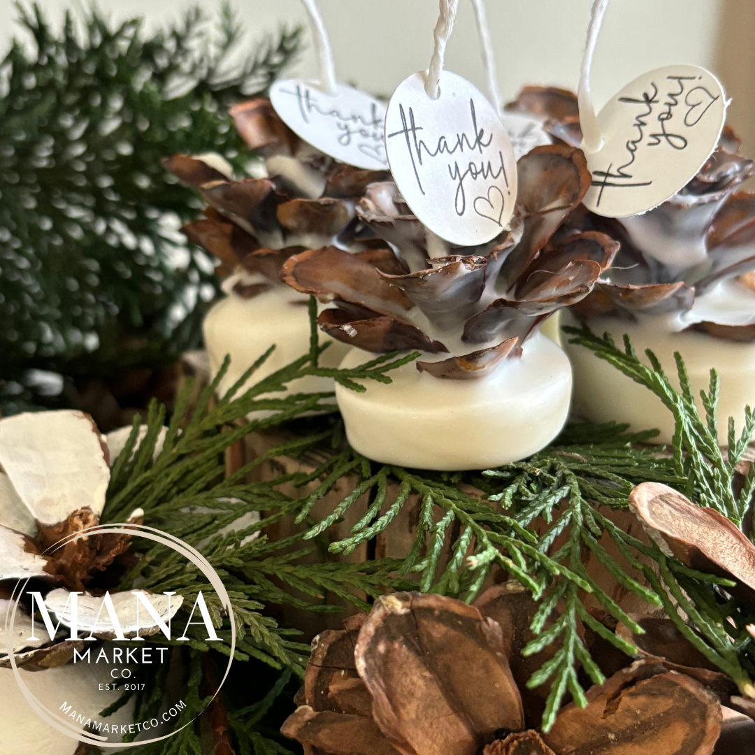 Pinecone Favors Fire Starters