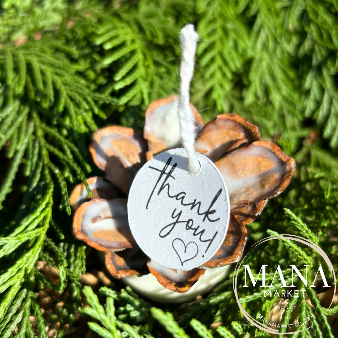 Pinecone Favors Fire Starters