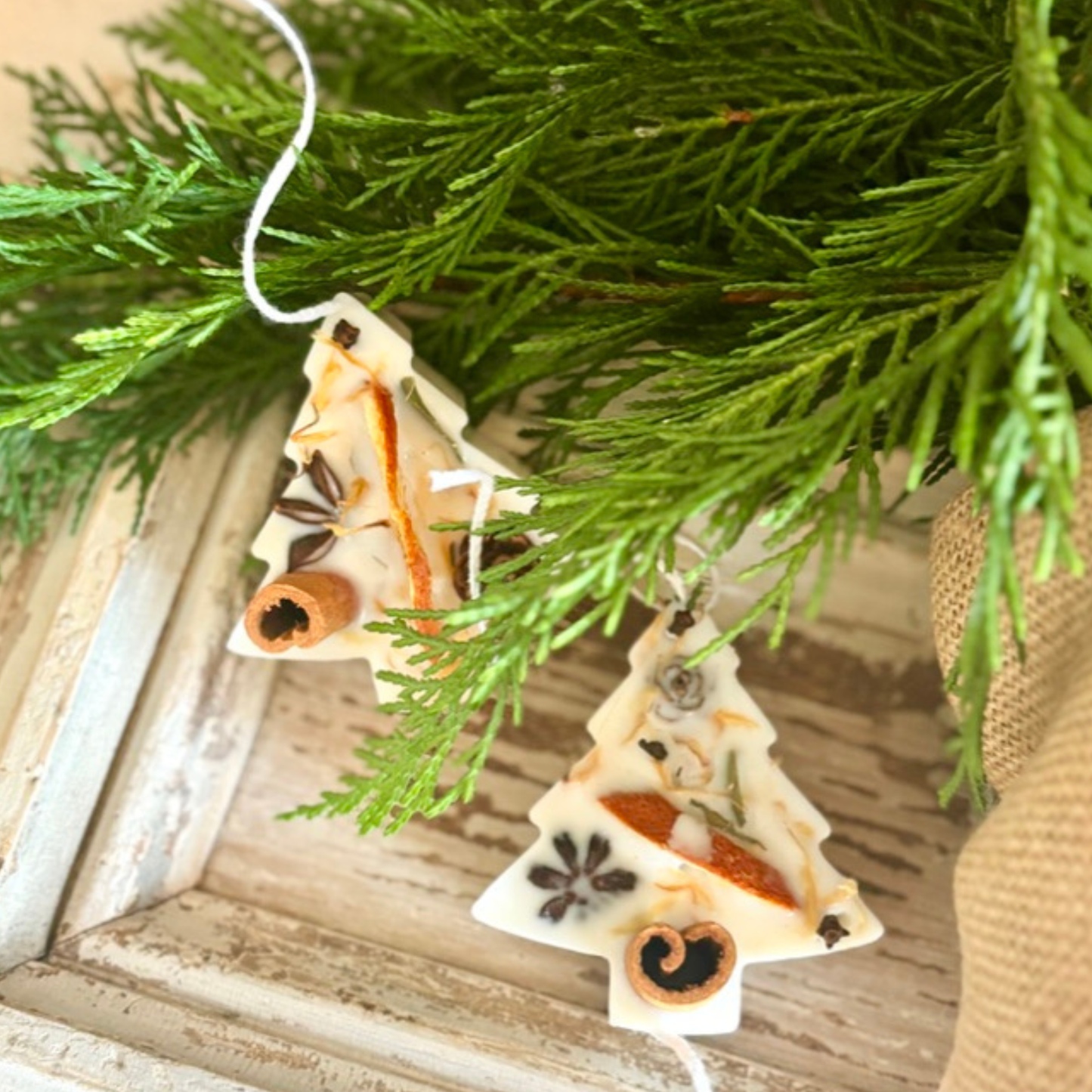 Pine Tree Fire Starter Scented Sachet & Wax Melt