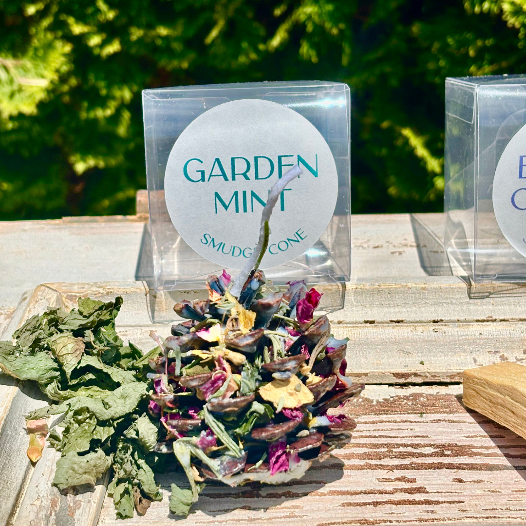 Smudge Cone Cleanse + Manifest Scented Sage Smudging Cones
