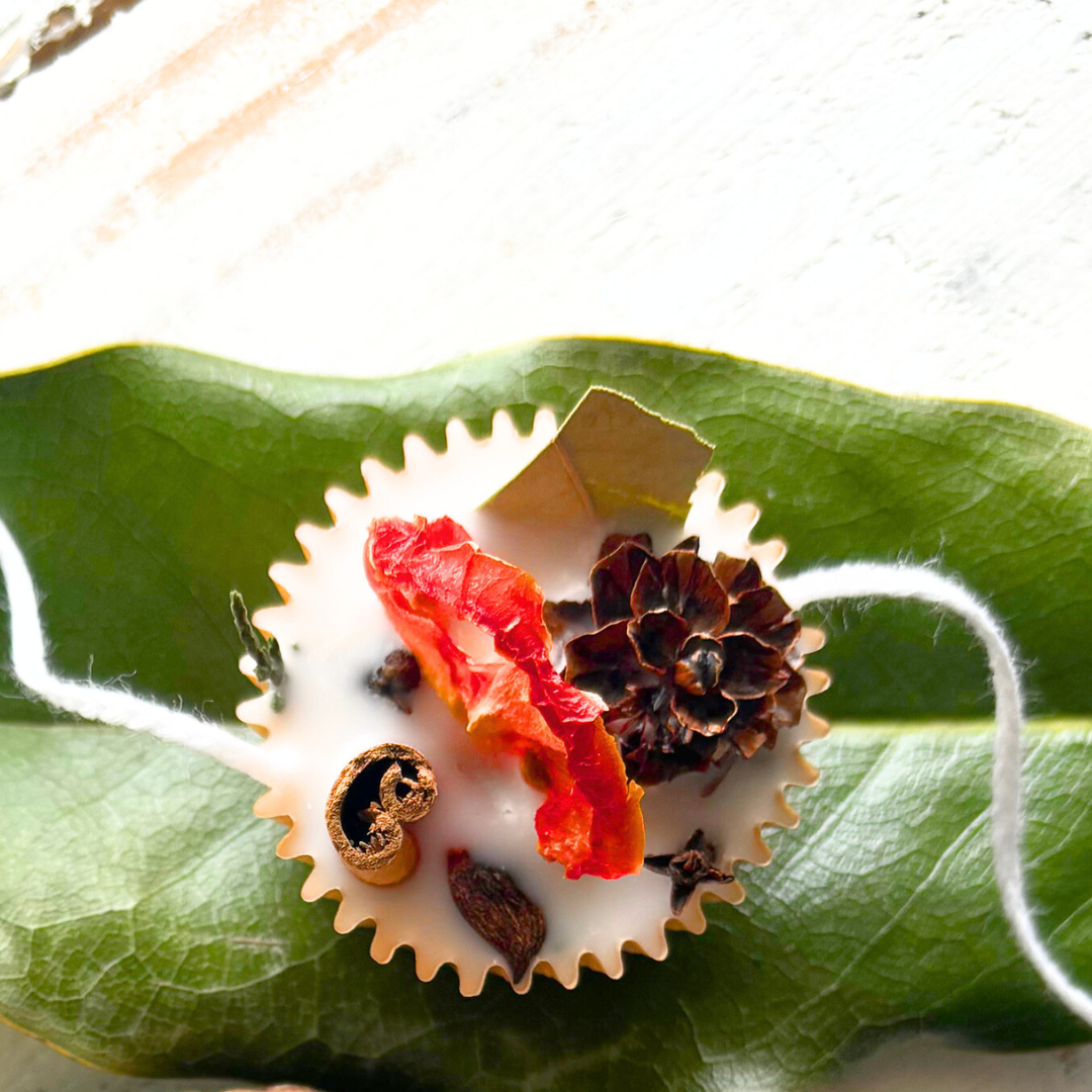 Tuscan Garden Theme Party Favors Garden Party Theme Favors Scented Soy Wax Fire Starters with Real Dried Tomato and Natural Herbs 