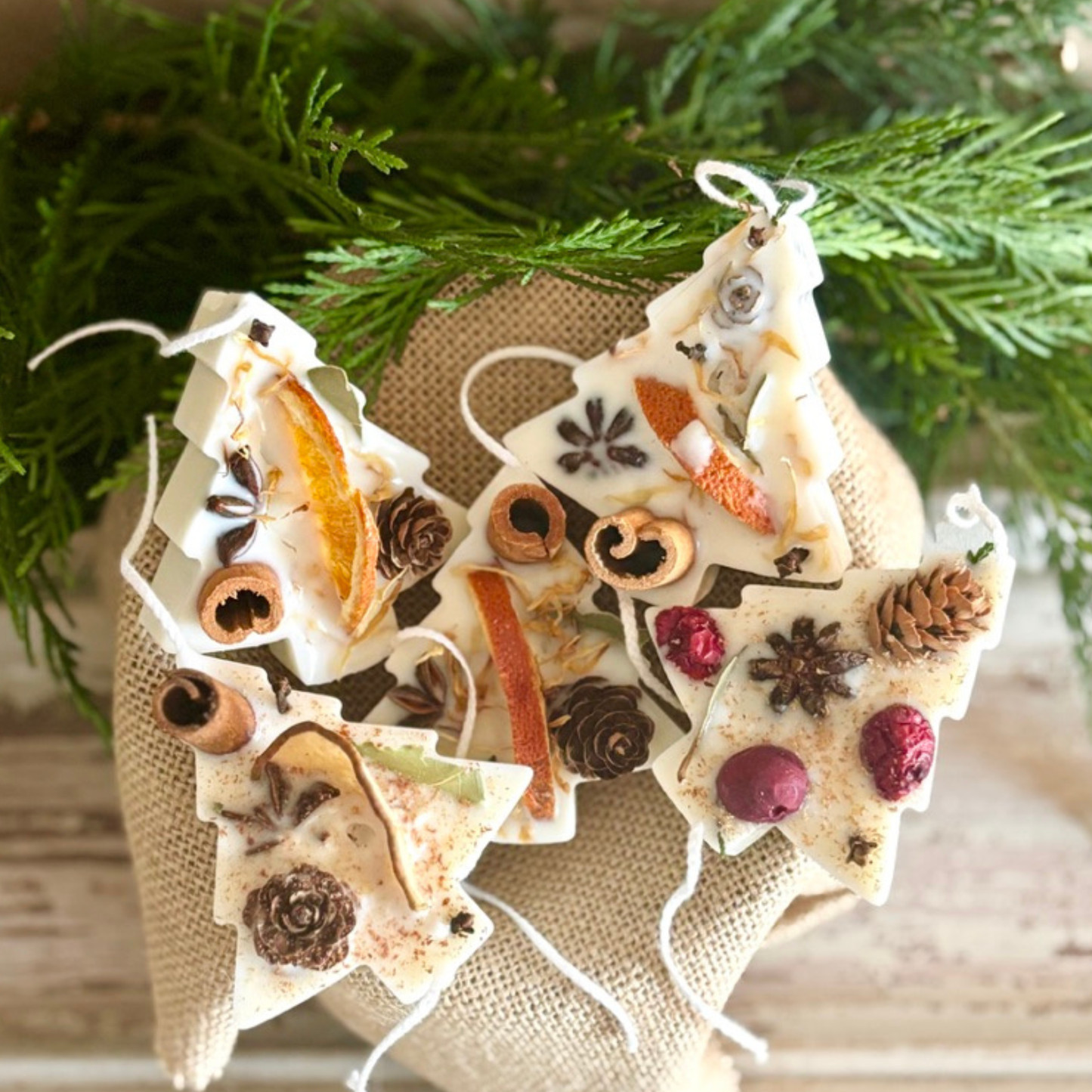 Christmas Tree Fire Starters Scented Sachets and Wax Melts. Pine Tree Scented Favors. Hand made gifts made from soy wax. Hand poured Soy Wax Fire Starters Christmas Tree Shaped