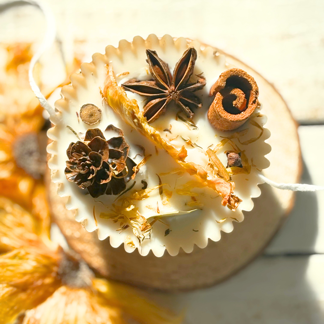 Sweet Pineapple Tropical Favors Dried Pineapple Fire Starter Favors