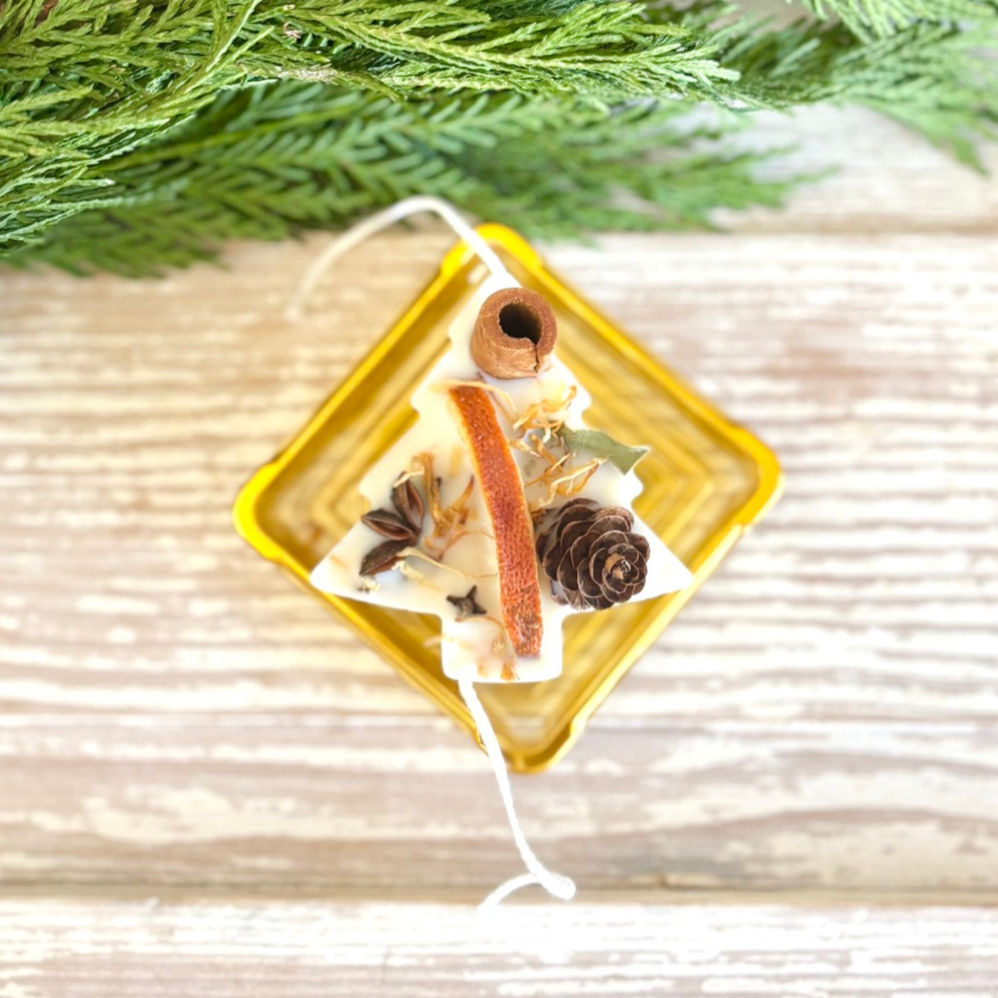 christmas tree money wax melt Pine Tree Fire Starter Scented Sachet & Wax Melt – Mana Market Co