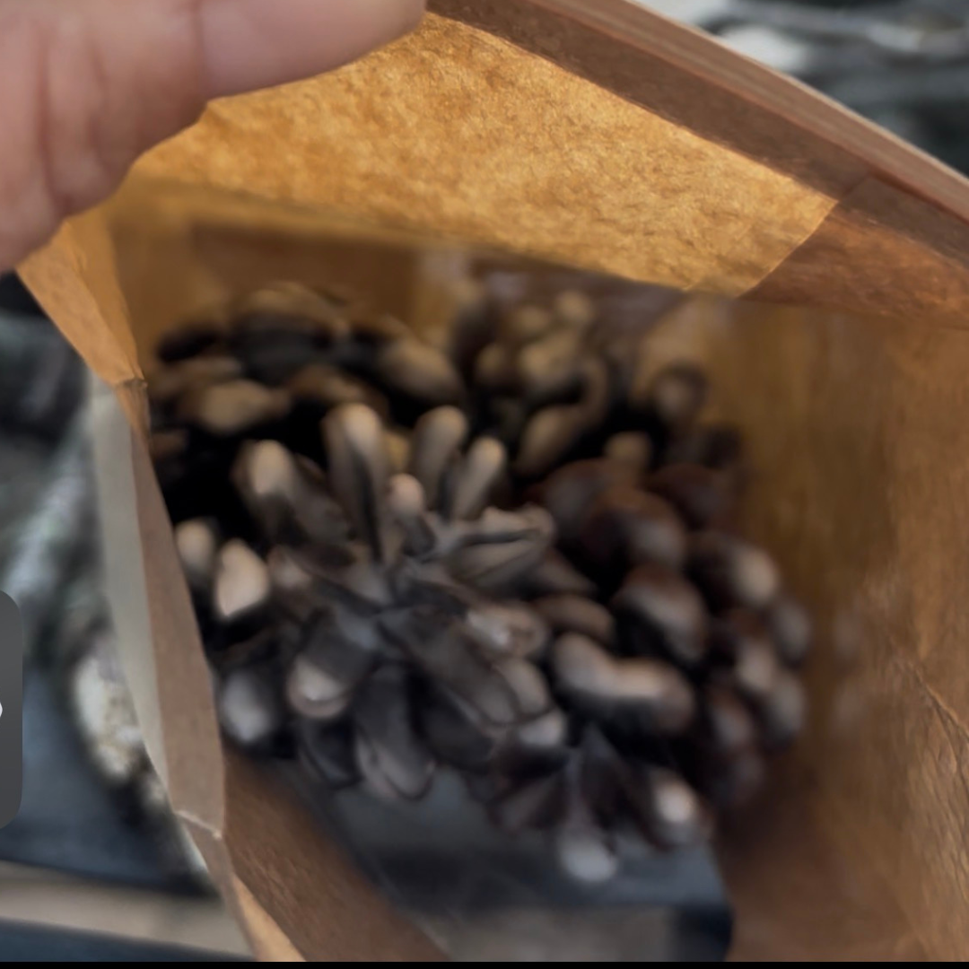 Coffee Scented Pine Cone Fire Starters, Soy Wax Dipped,Perfect Gift for Coffee Lovers