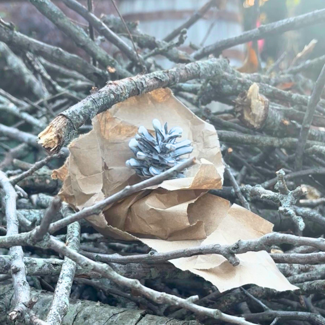 Coffee Scented Pine Cone Fire Starters, Soy Wax Dipped,Perfect Gift for Coffee Lovers