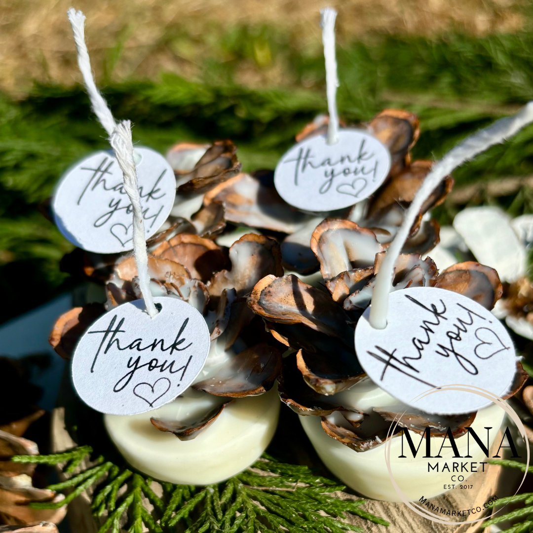 Pinecone Favors Fire Starters